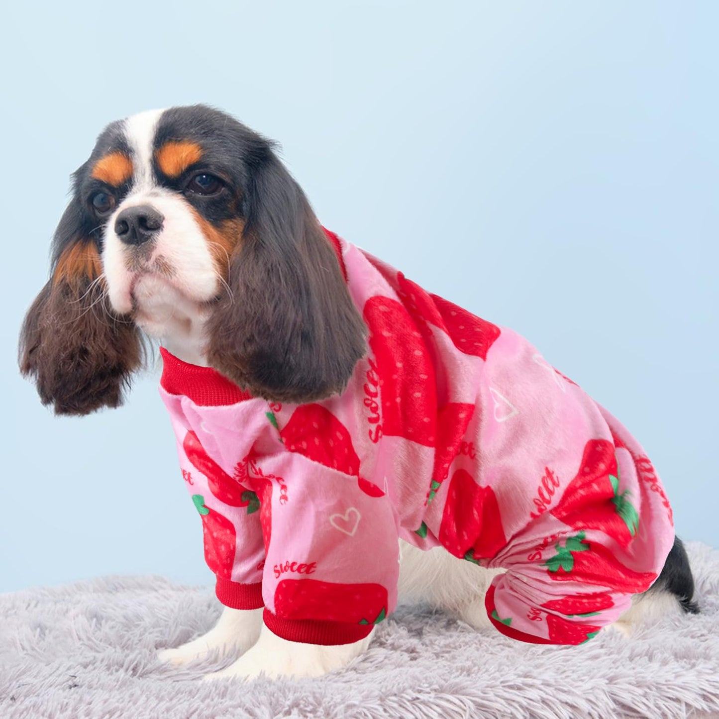 HONGTEYA Dog Easter Outfit Dog Pajamas Soft Lightweight Velvet Dog Onesie Easter Dog Clothes for Small Medium Large Pet Dogs Cats