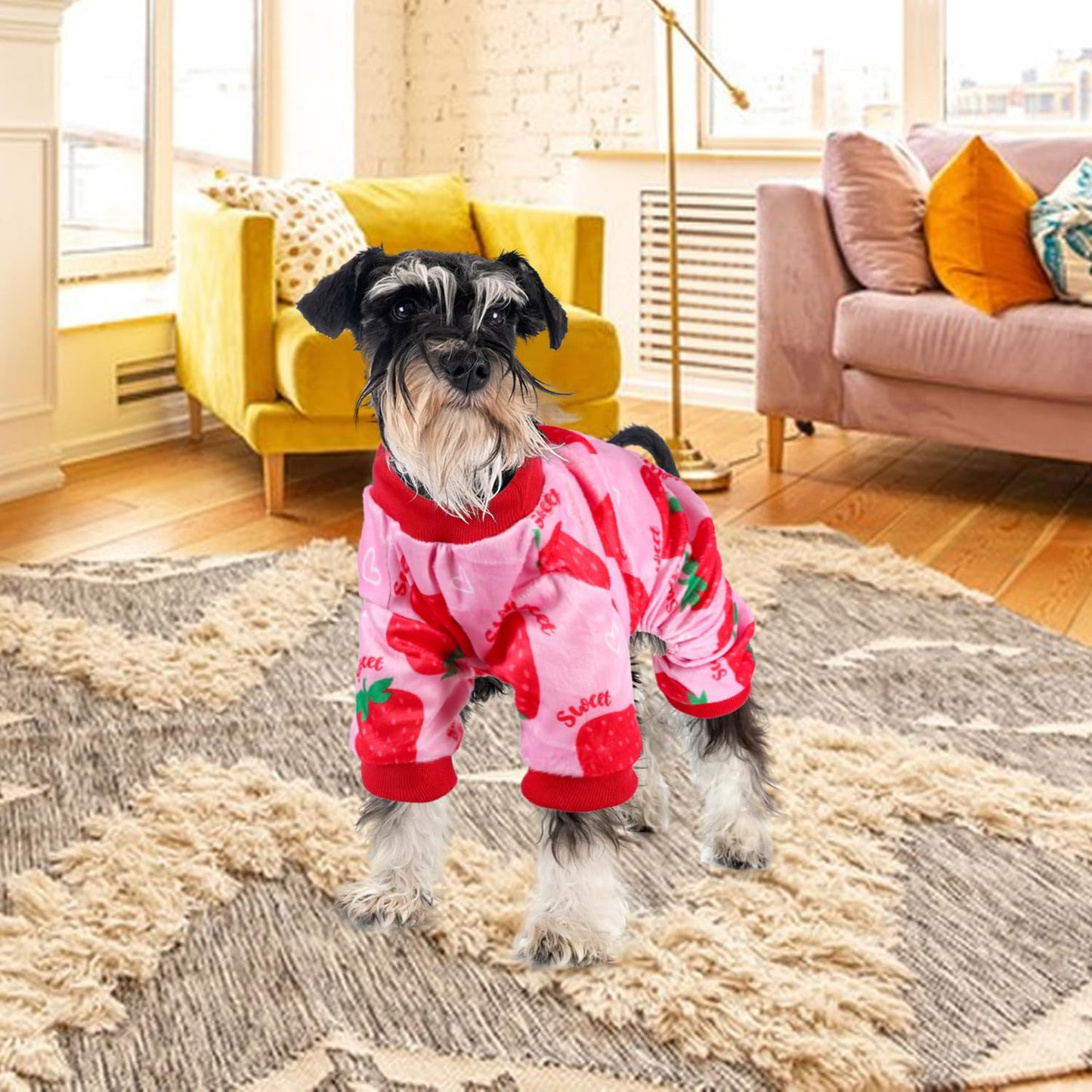 HONGTEYA Dog Easter Outfit Dog Pajamas Soft Lightweight Velvet Dog Onesie Easter Dog Clothes for Small Medium Large Pet Dogs Cats